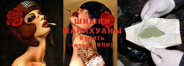шишки Вяземский