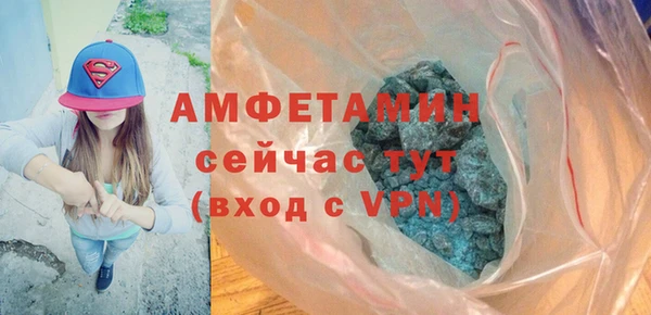 дживик Гусь-Хрустальный