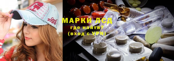 шишки Вяземский