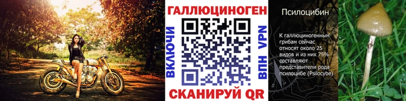 Галлюциногенные грибы Cubensis  Гаврилов Посад 