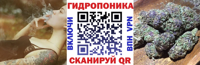 МЕГА как войти  Гаврилов Посад  Канабис OG Kush  как найти наркотики 